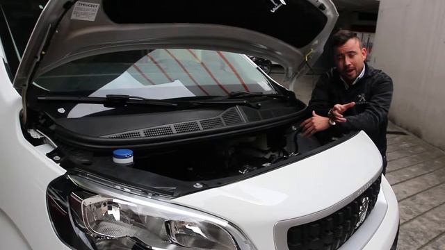PEUGEOT EXPERT | MOTOR смотреть онлайн