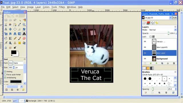How to Show Layers on GIMP смотреть онлайн