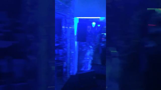 La Noche de la Bachata animation by Borja Gonzales смотреть онлайн