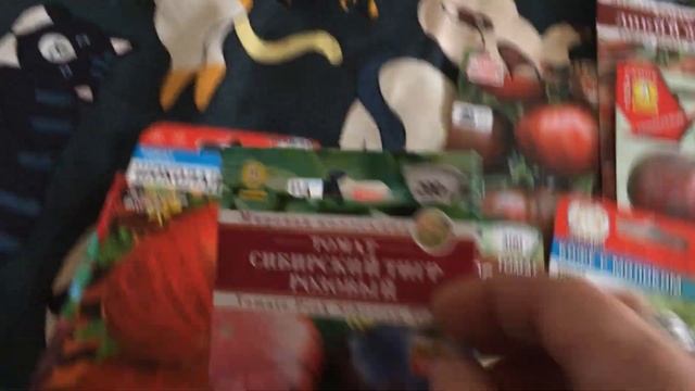 Мои черноплодные и полосатые томаты смотреть онлайн