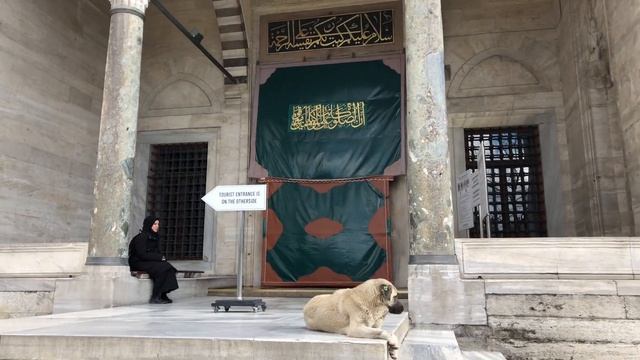 (Süleymaniye Camii), Стамбул 2022. Могила Султана Сулеймана и Хюррем Султан