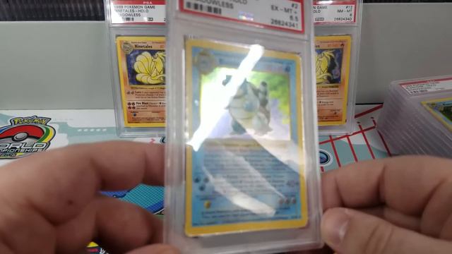 PSA Returns Zards & Errors... No Damage Nintales?!? смотреть онлайн