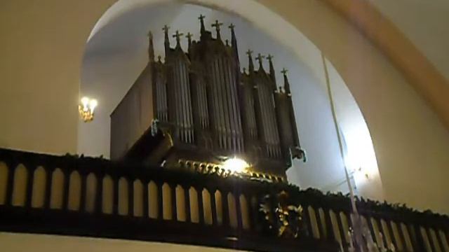 «В КРУГУ СВЯТЫХ. ГУСЛИ и ОРГАН» Елизавета Панченко, орган и Анастасия Фомина, гусли. 15.01.2022 г. смотреть онлайн