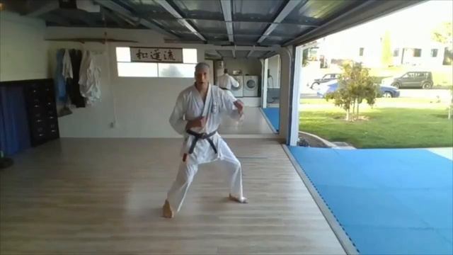 Wado-Ryu Karate-Do Academy Syllabus Training - 7th Kyu