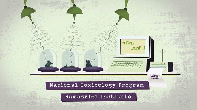 The 5G Mass-experiment: Big Promises, Unknown Risks