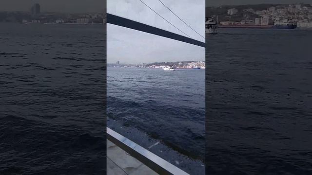 Влог из Турции/ Осенний Стамбул/ Цистерна Базилика в Стамбуле/ музеи, улицы, пролив Босфор. смотреть онлайн