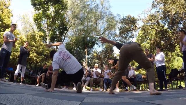 Melbourne Roda Do Xadrez - St Kilda Botanical Gardens - Saturday 11th November 2023