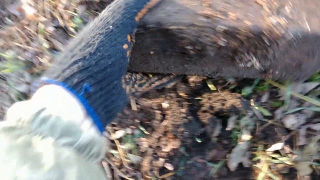 Коп металла 2021 смотреть онлайн