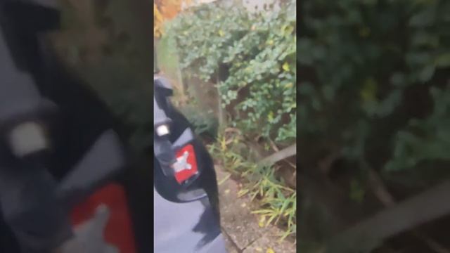 Jeep Renegade Radio Antenna Base No Drilling смотреть онлайн