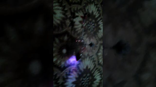 Запускаем вертолет вместе папой смотреть онлайн