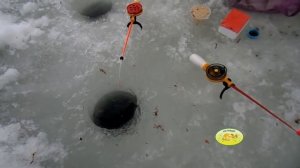 Мастер-класс по ловле муксуна