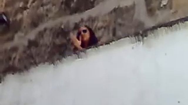 You touch my Tralala!.mp4 смотреть онлайн