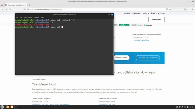 How to Install TeamViewer on Linux Mint 21 смотреть онлайн