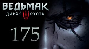 The Witcher 3 / Ведьмак 3 - Дела государственной важности - Прохождение игры [#175] | PC (2017 г.)
