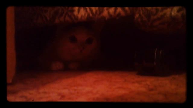 "Соня" на стуле смотреть онлайн