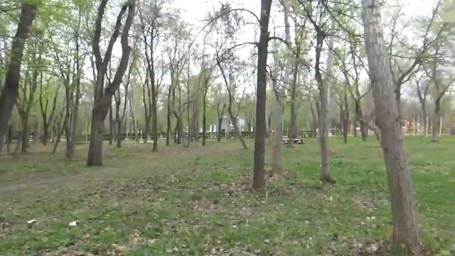 Словарь Елены Ильичевой (канал Семья в городе Life/Готовим вместе с Еленой Ильичевой) смотреть онлайн