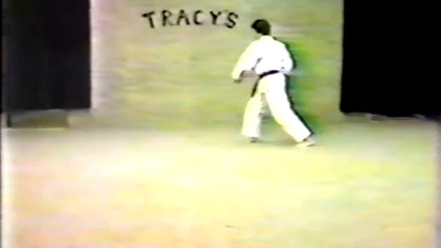 Tracy Kenpo Karate 18 section punching set 1980 смотреть онлайн