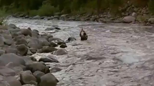 A River Runs Through It - Haunted By Waters A River Runs Through It Reprise - Mark Isham