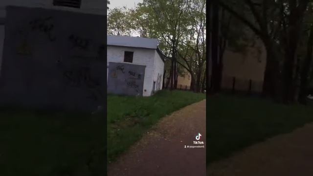 Еду на работу на эл/самокате. Гатчина: Приоратский парк, ДК, ул. Чкалова, пр. 25-го Октября. 06:52 смотреть онлайн