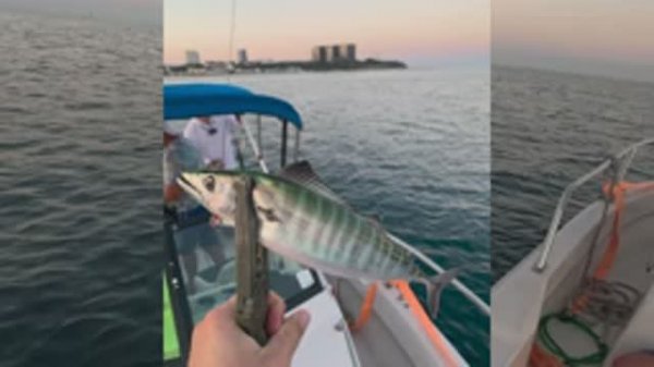 10 августа 2024 г.к. Анапа. Рыбалка Море Катер MetalJig