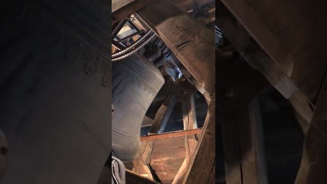 Notre Dame Cathédrale bell смотреть онлайн