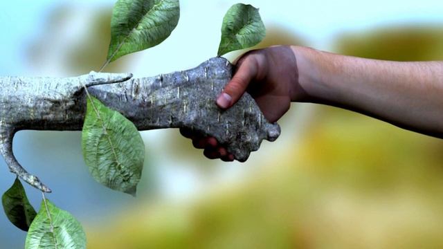 Непростой выбор. Процессы, происходящие в ауре людей, испытывающих страх за свою жизнь.