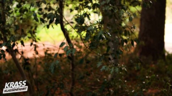 Das ERSTE MAL im WALD?! 💞🌳 Folge 8.2 | Krass Klassenfahrt