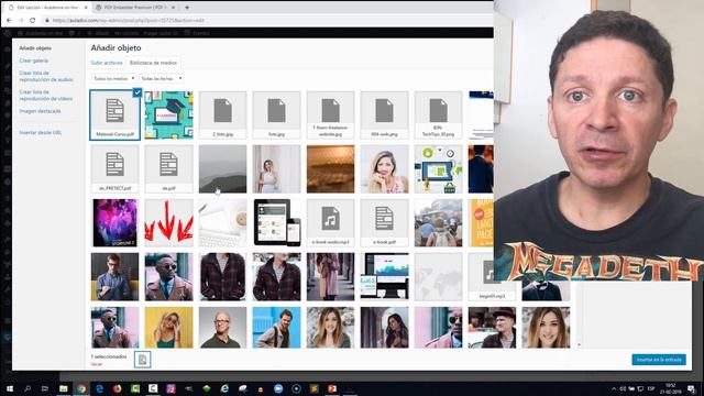 Cómo publicar un PDF en WordPress como un Pro смотреть онлайн