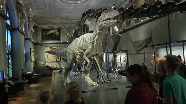 Naturhistorisches Museum Wien 2016 смотреть онлайн