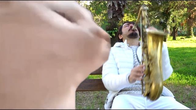 Cat Vibing To "Ievan Polkka" on SAX ? смотреть онлайн