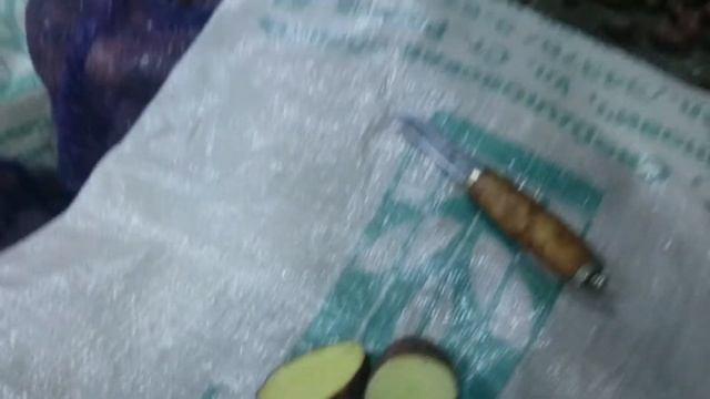 Правильное хранение картофеля. смотреть онлайн