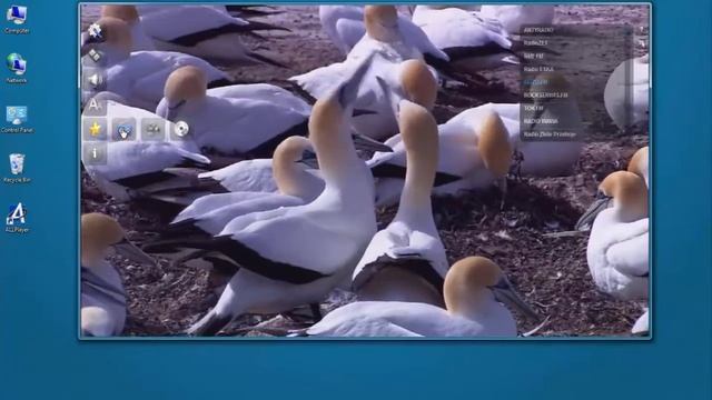 ALLPlayer with Subtitles editor смотреть онлайн