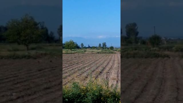 Aeroflot...Airbus A320-211 Take-off yerevan zvartnots International airport смотреть онлайн