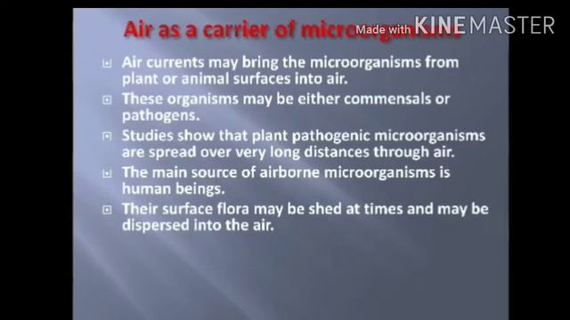 Sources of microorganisms in air, Air microbiology, BSc 2nd year смотреть онлайн