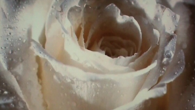 Ты для меня одна - Владимир Kazak