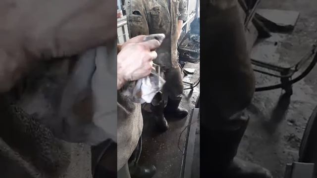 Авто Дэу-Сенс,если не заводится с утра,нужно достать и протереть-заменить датчик положения коленвал смотреть онлайн