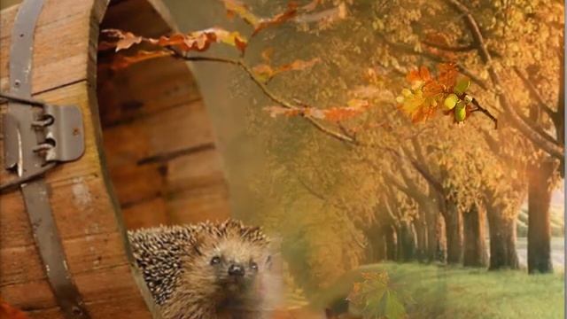 Копия видео "#КончилисьЛетниеДенечки" смотреть онлайн