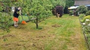 Как избавиться от мха на участке. Мох на газоне