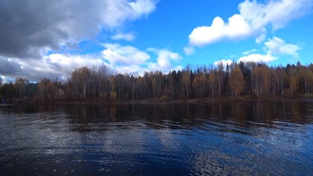 Взял подводную камеру на рыбалку и охренел. смотреть онлайн