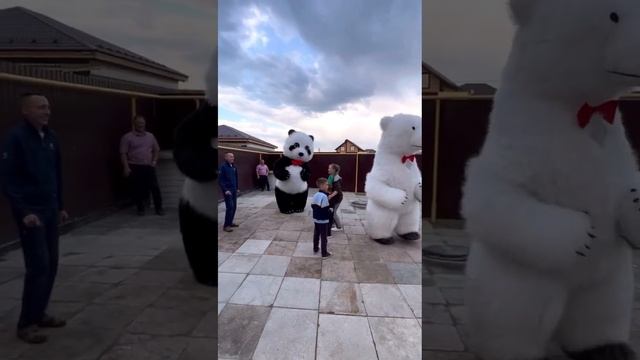 Белый Мишка и СуперПанда ворвались на День Рождение с музыкой и танцами! Поздравление с 35-юбилеем! смотреть онлайн