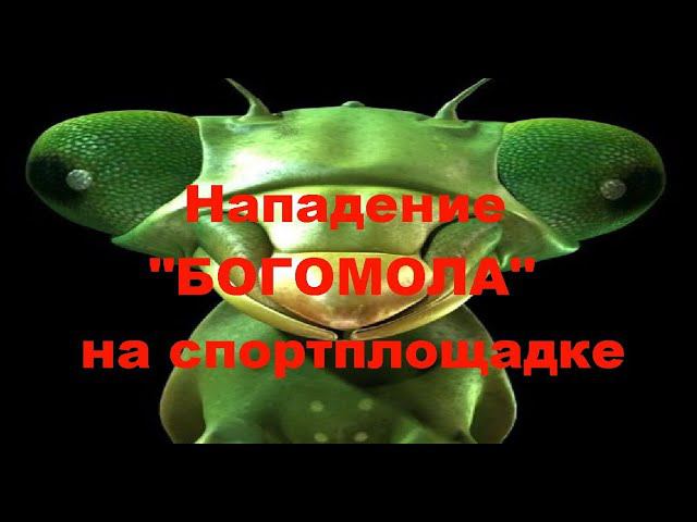 Нападение "БОГОМОЛА" на спортплощадке. Attack of "BOGOMOL" (04.09.2020) смотреть онлайн