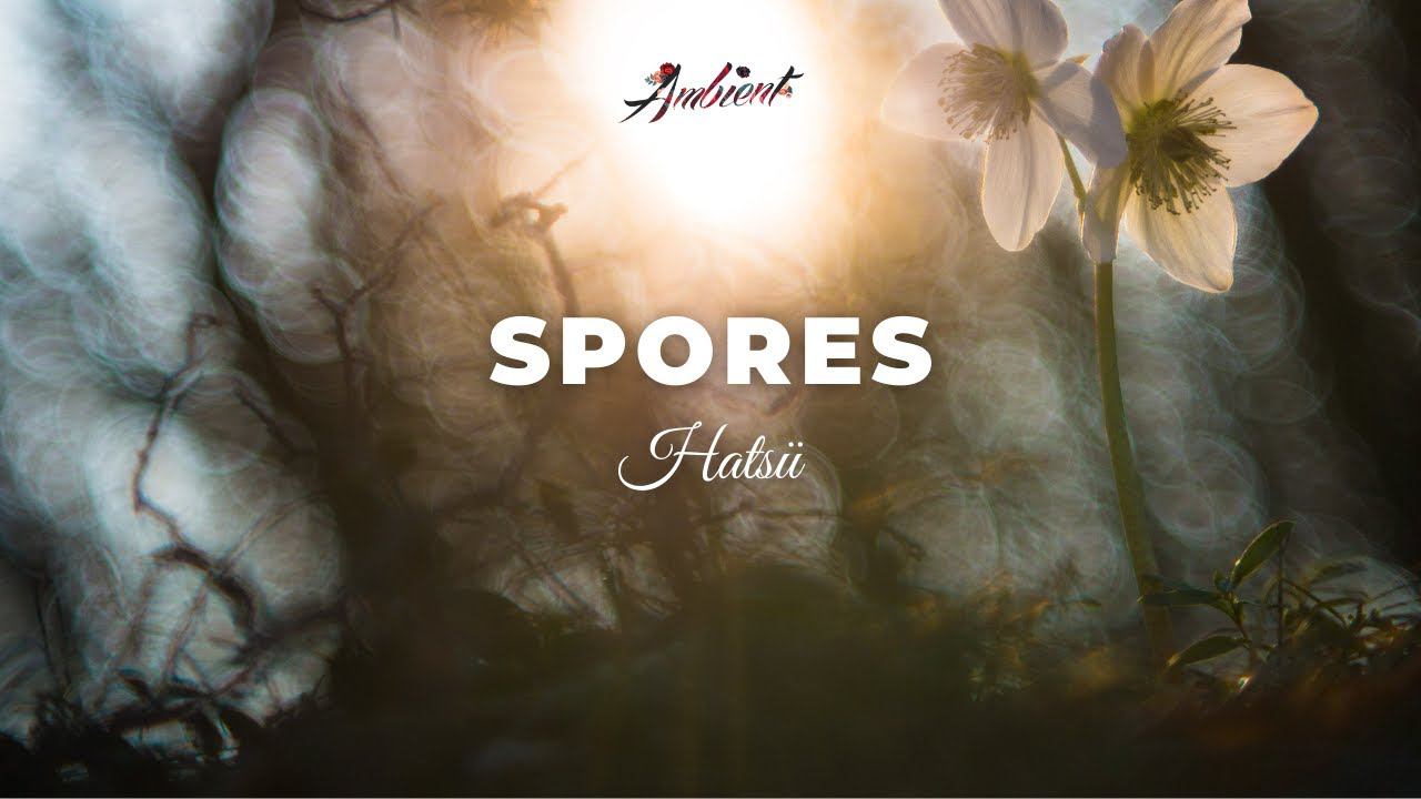 Hatsü - Spores [meditation drone ambient] смотреть онлайн