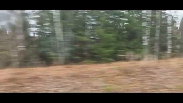 Путешествие в Сыктывкар и обратно 18 10 22- 25 10 22 смотреть онлайн