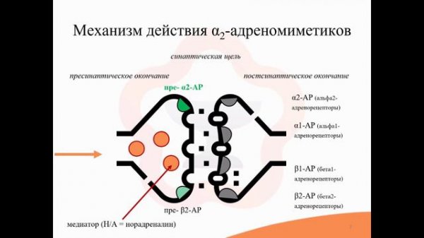 5.3. Альфа-адреномиметики