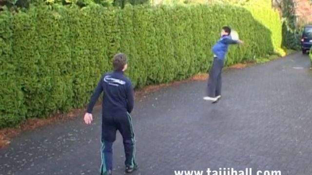 Taiji Bailong Ball - Multiplay смотреть онлайн