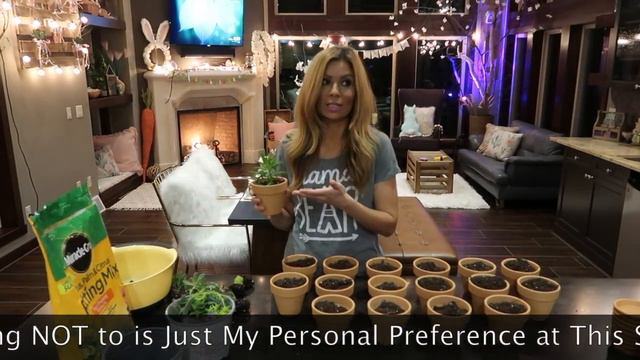 Succulent Tips for Beginners, How to Plant Succulents, How to Water Succulents смотреть онлайн