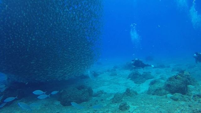 Relaxing Group - Restful Sleep