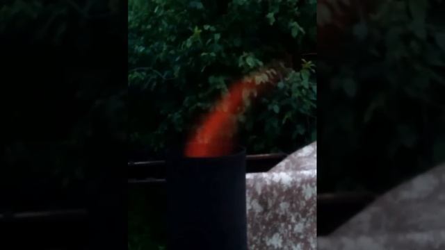 древесный уголь хорошего качества на халяву смотреть онлайн