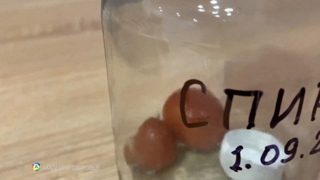 Прошло 40 дней. Тест 20 средств против плесени и бактерий. Помидоры На Зиму смотреть онлайн