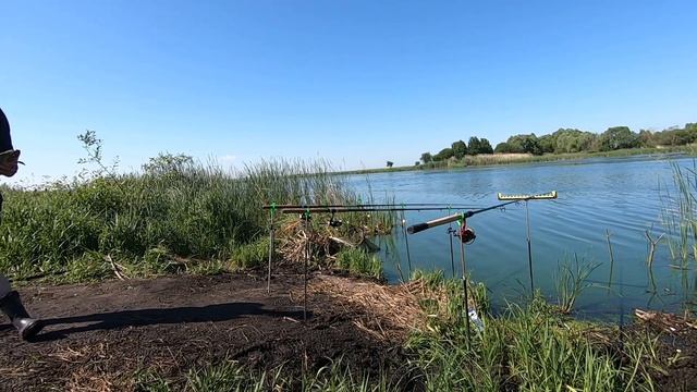 Крупный Карась на Пруду и залетел Бонус!!! смотреть онлайн